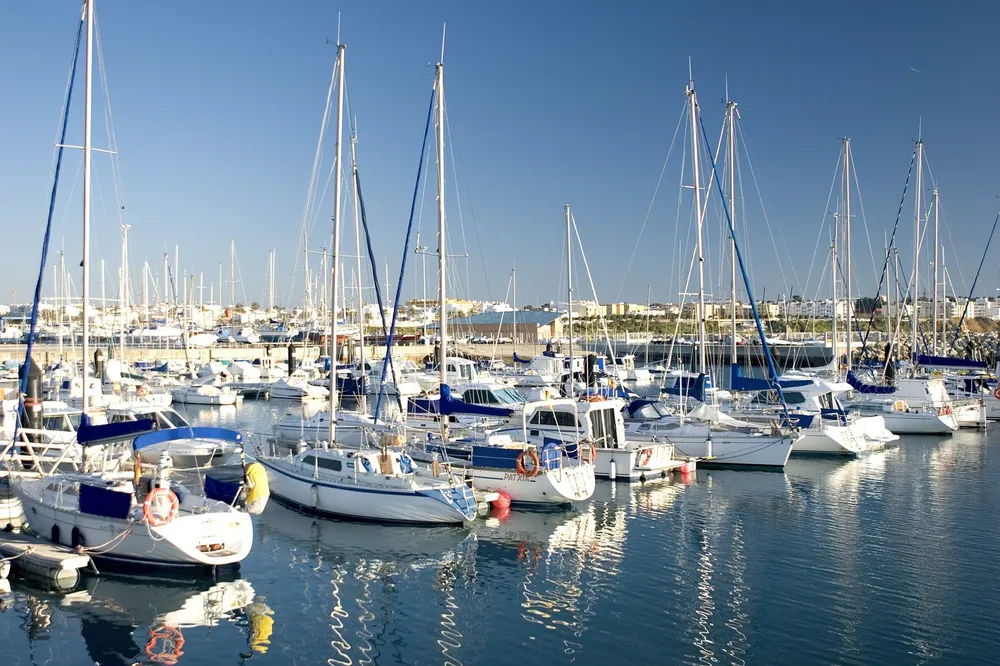 Club Náutico de Rota - Pesca deportiva y vela en el puerto de Rota, foto 4 de 4