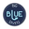Big Blue Diving - Centro de buceo en Palmanova y Puerto Portals