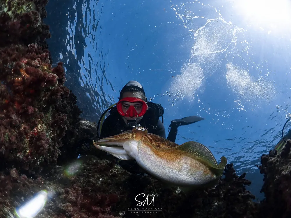 Fuerteocean - Centro de buceo SSI en Morro Jable, Fuerteventura, Foto 4 von 4