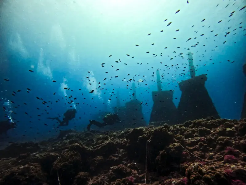 Dive Academy - Centro PADI 5 Estrellas IDC en Santa Pola, foto 2 de 4