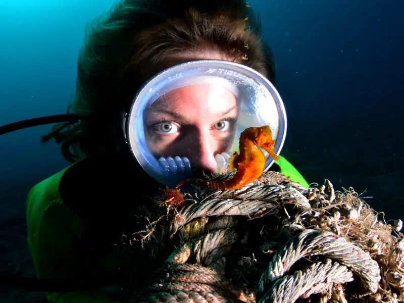 Buceo Canarias - Centro de buceo en Las Palmas de Gran Canaria, photo 2 sur 4