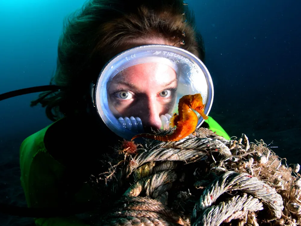 Buceo Canarias - Centro de buceo en Las Palmas de Gran Canaria, photo 2 sur 4