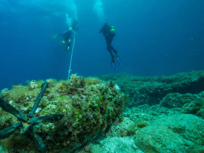 Mallorca Diving Adventure - Escuela de buceo en Port d'Andratx, Foto 2 von 4