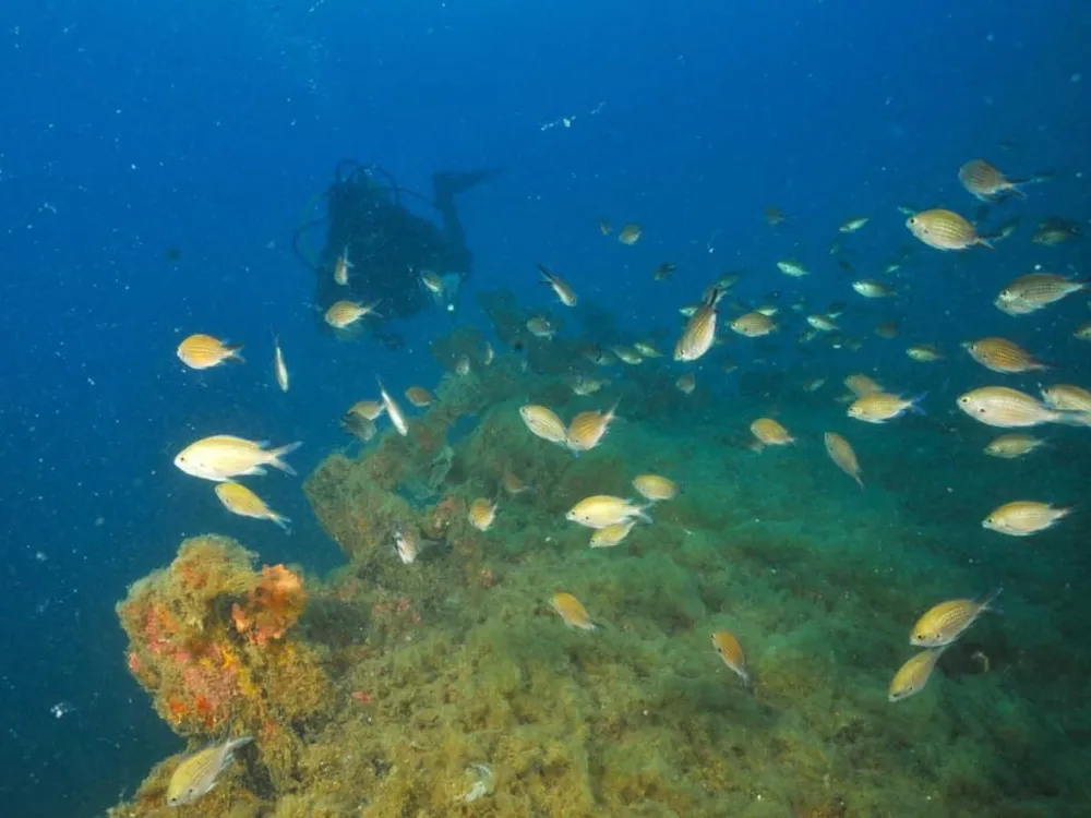 Ametlla Diving - Centro de buceo PADI en l'Ametlla de Mar, Foto 4 von 4
