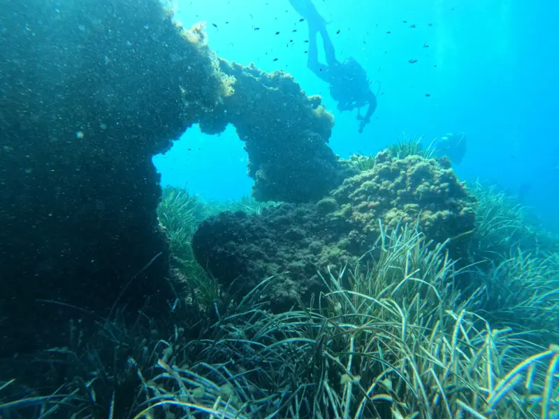 Centro Buceo Altair - Buceo PADI en Alicante e Isla Tabarca, Foto 2 von 4