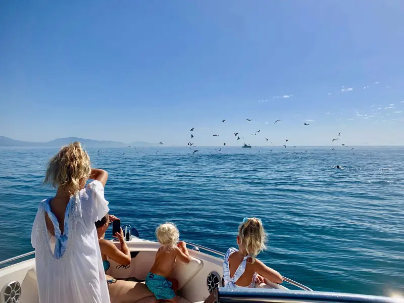 Ofblue Boat Charter - Alquiler de barcos en Estepona, Foto 2 von 4