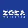 Zoea Mallorca - Centro de buceo en el Club Náutico Santa Ponsa