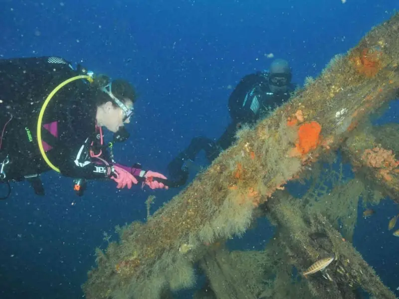 Ametlla Diving - Centro de buceo PADI en l'Ametlla de Mar, Foto 3 von 4