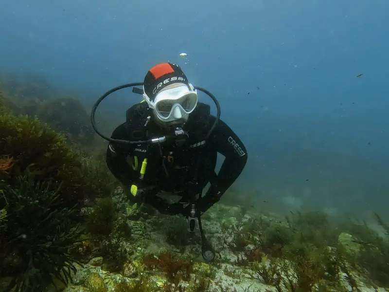 Vigo Buceo - Escuela de buceo PADI en la Ría de Vigo, Foto 2 von 4