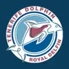 Tenerife Dolphin - Avistamiento de ballenas y delfines desde Puerto Colón