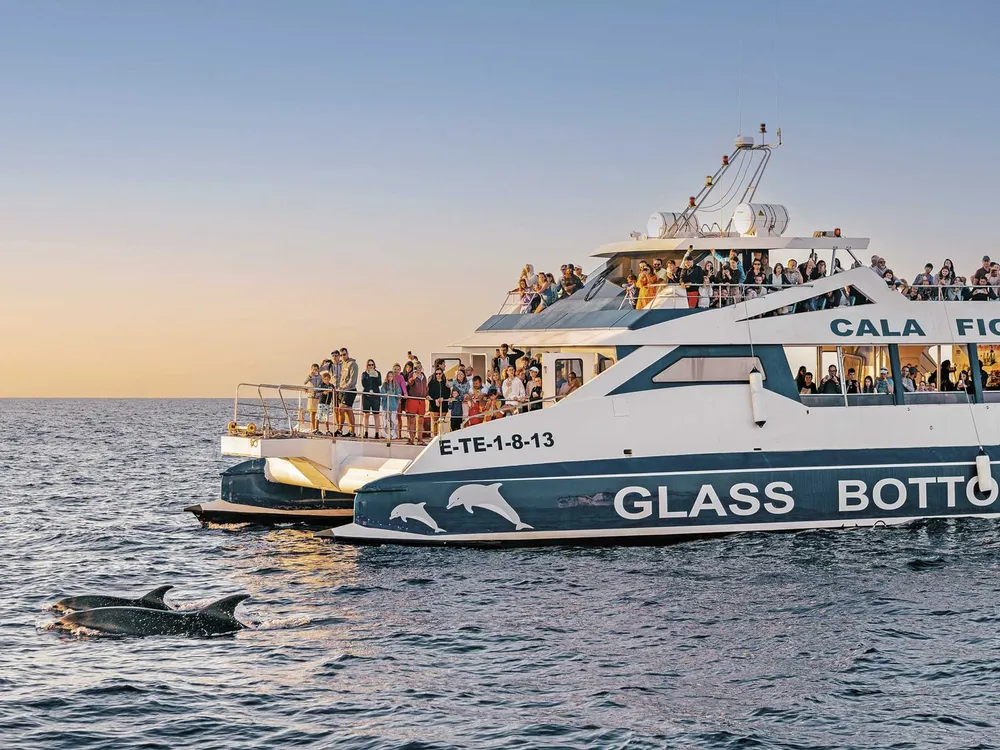 Alcudia Sea Trips - Excursiones en barco desde el Port d'Alcúdia, photo 4 sur 4