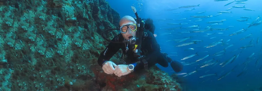 Divertysub - Escuela de buceo SSI y PADI en Barcelona, Foto 4 von 4