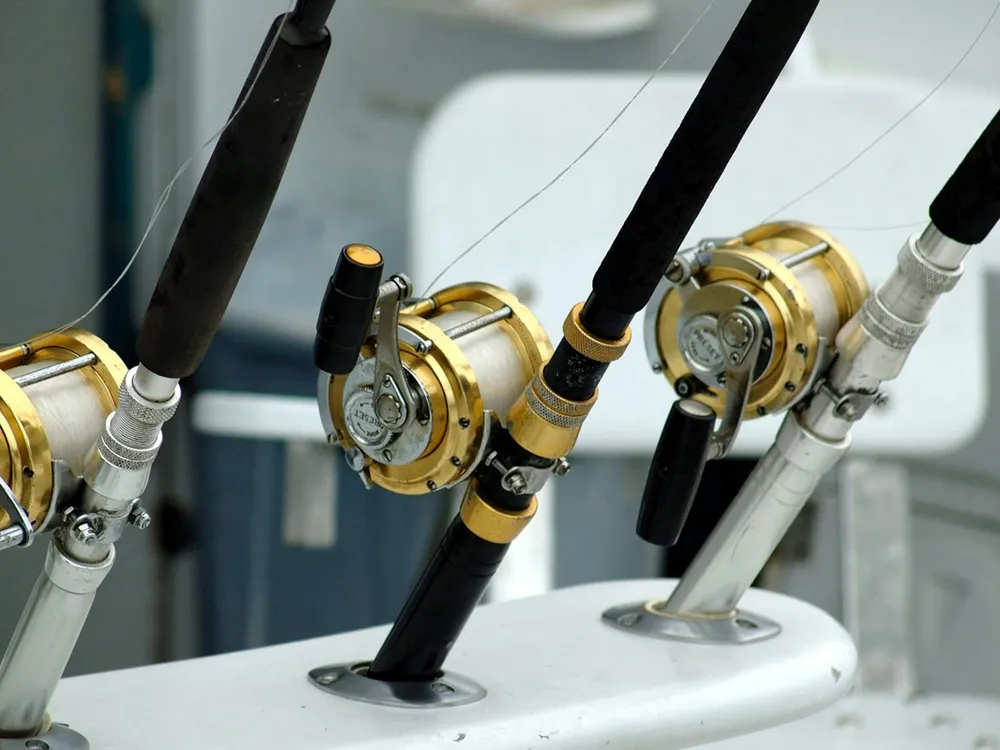 Ocean Tours Hondarribia - Rutas en barco y pesca en la costa vasca, Foto 4 von 4