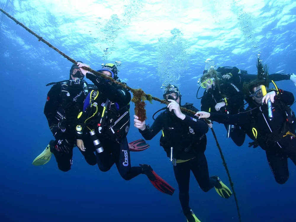 Buceo Canarias - Centro de buceo en Las Palmas de Gran Canaria, photo 3 sur 4