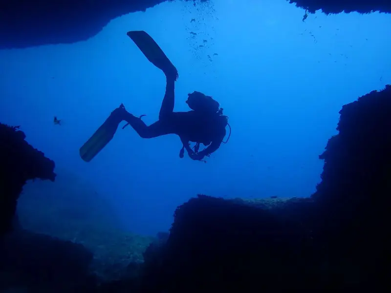 Dive Inn Menorca - Bautismos y cursos de buceo PADI en Ciutadella, фото 3 из 4