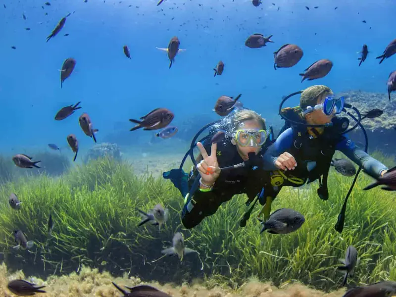 Vellmari - Centro de buceo en La Savina, Formentera, Foto 2 von 4