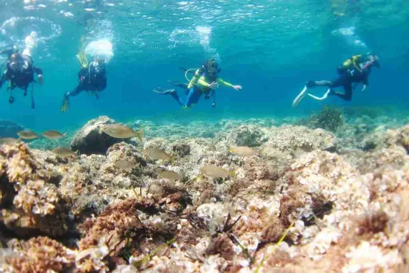 Adventure Divers - Buceo PADI y SSI y snorkel en La Manga Club, фото 2 из 4