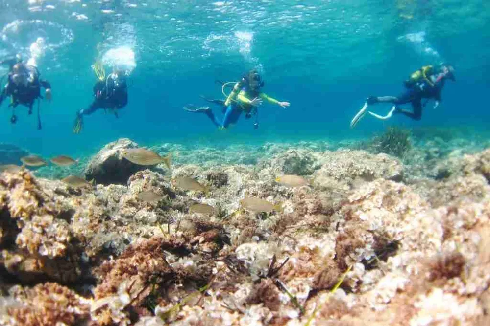 Adventure Divers - Buceo PADI y SSI y snorkel en La Manga Club, фото 2 из 4