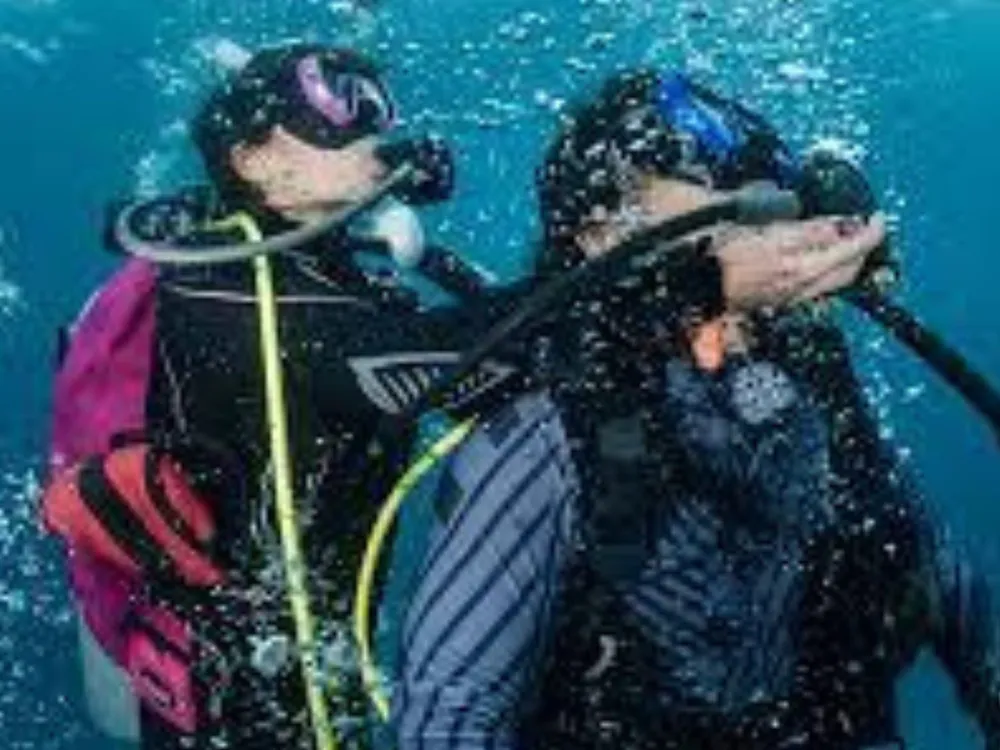 Manta Diving Valencia - Centro de buceo profesional en Sagunto, Foto 2 von 4
