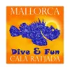 Dive and Fun Mallorca - Centro de buceo en Font de Sa Cala