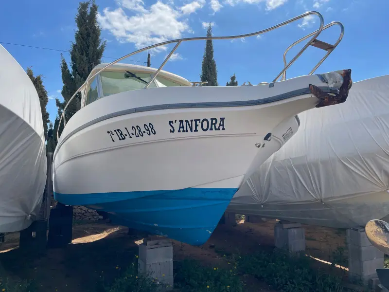 Náutica Pins - Alquiler de barcos y taller náutico en La Savina, Foto 3 von 4