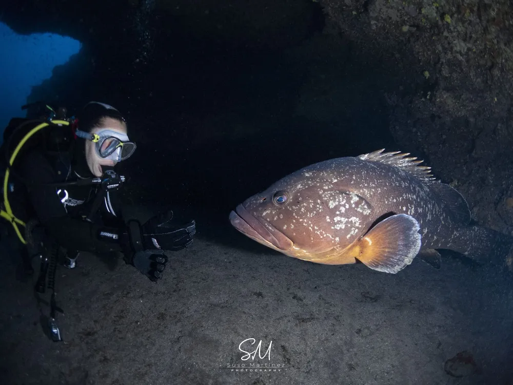 Fuerteocean - Centro de buceo SSI en Morro Jable, Fuerteventura, Foto 3 von 4