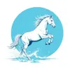 Caballo Blanco Charter - Excursiones privadas en velero desde Cala Galdana