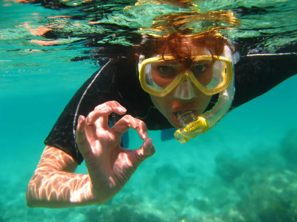 Dive and Fun Mallorca - Centro de buceo en Font de Sa Cala, foto 3 de 4