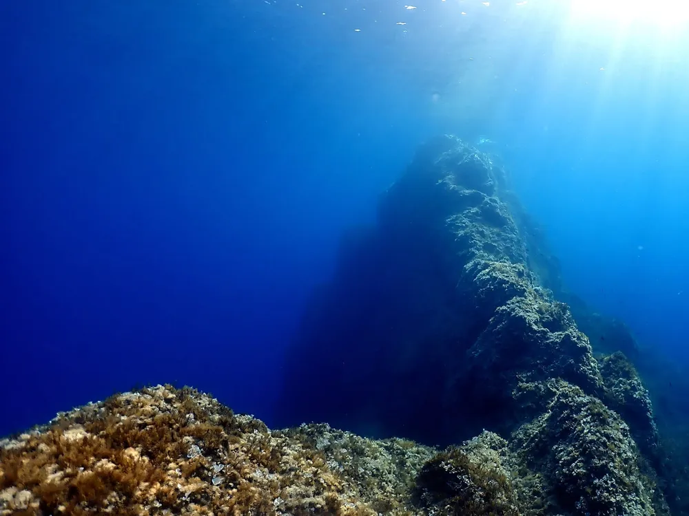 Blue Dive Menorca - Centro de buceo SSI en Addaia, Foto 4 von 4