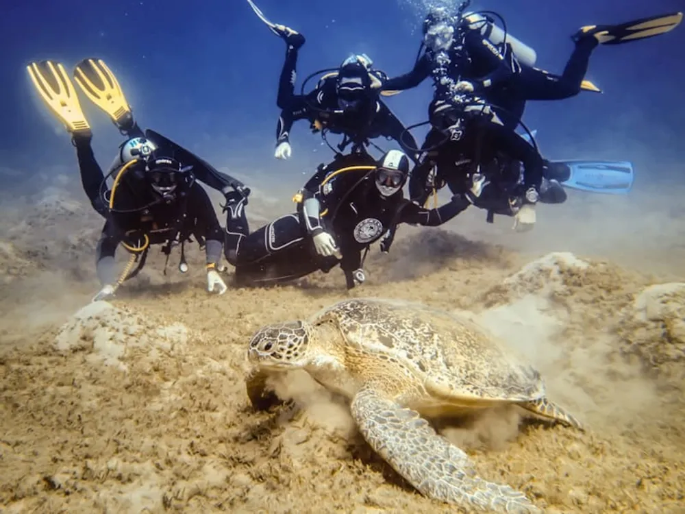 Black Frog Divers - Centro PADI 5 estrellas en Torrox Costa, Foto 4 von 4