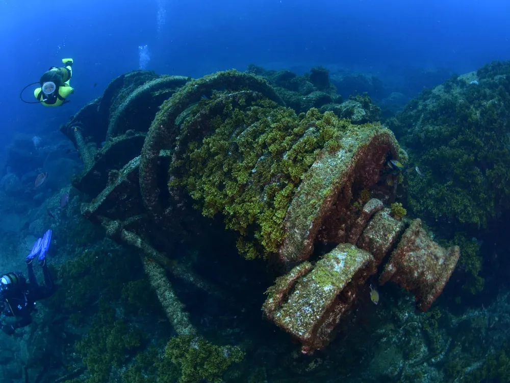 Buceo Canarias - Centro de buceo en Las Palmas de Gran Canaria, photo 4 sur 4